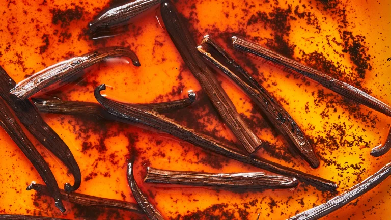 4 Ways to Pair Madagascar Vanilla Beans in Cooking