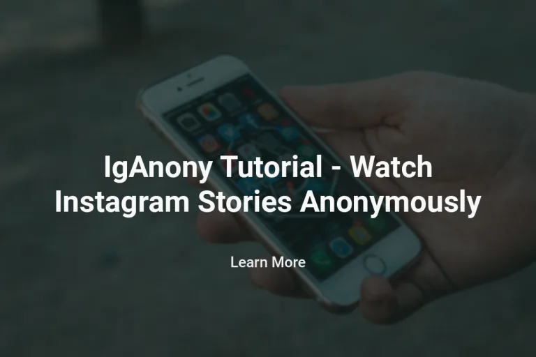 IgAnony Tutorial – Watch Instagram Stories Anonymously
