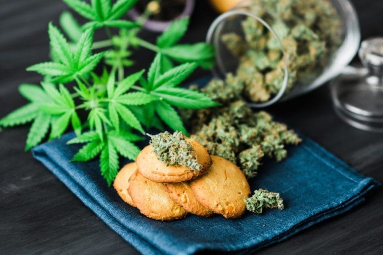 Are THC Gummies Better Than Edibles Like Brownies or Cookies?