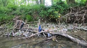 7 Asian Casino Platforms With Real-Time Bet-Tracking & Loss-Limit Features